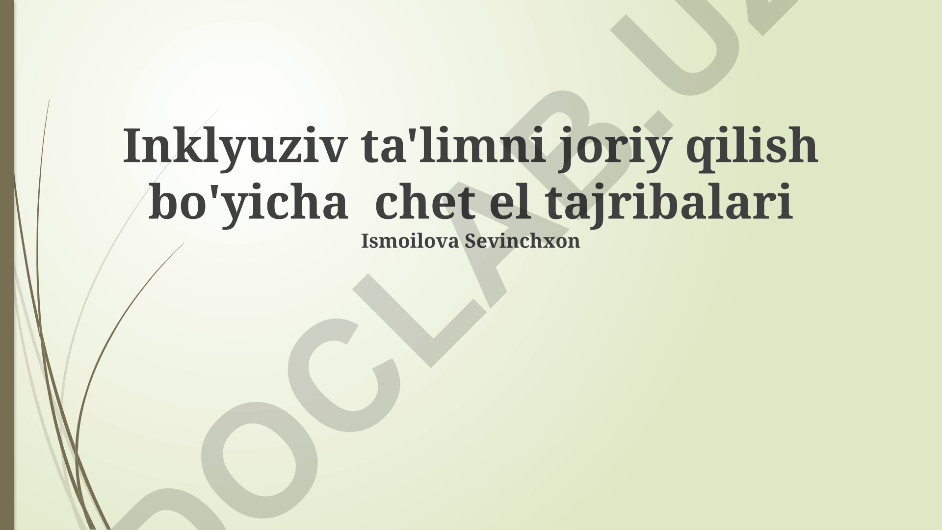 Inklyuziv ta'limni joriy qilish bo'yicha chet el tajribalari