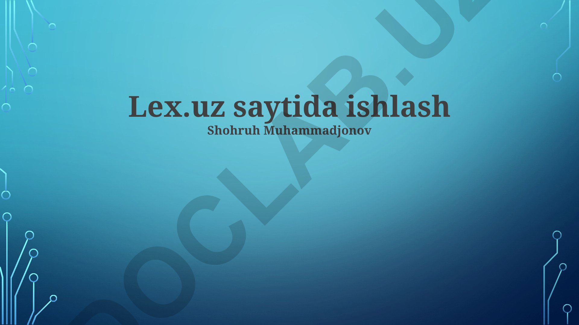 Lex.uz saytida ishlash tajribalari va kompaniya madaniyati