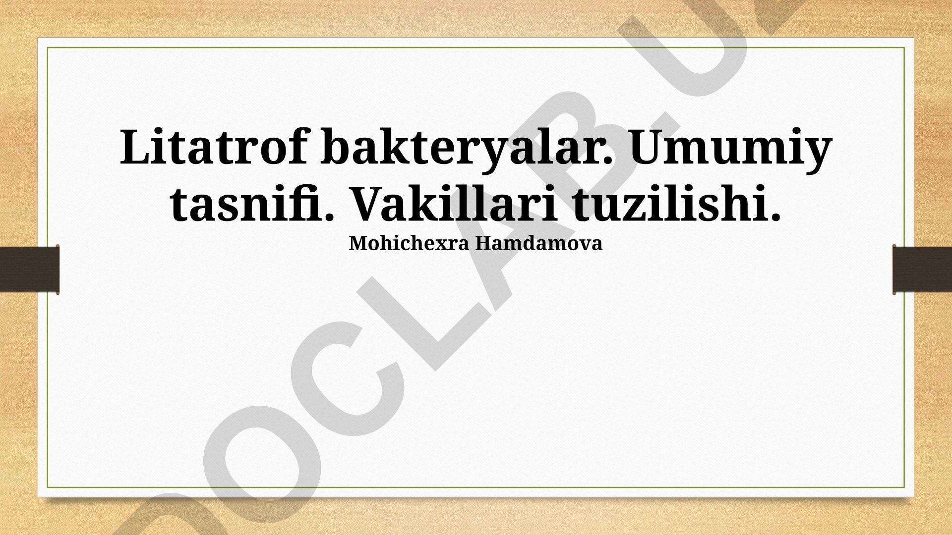 Litotrof bakteriyalar: tasnifi, tuzilishi va ahamiyati