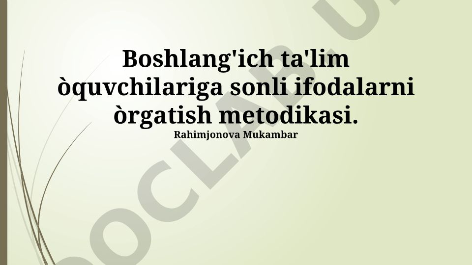 Boshlang'ich ta'lim o'quvchilariga sonli ifodalarni o'rgatish metodikasi