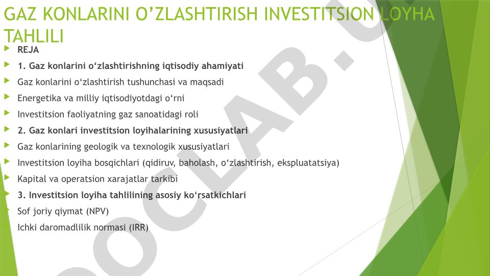 Gaz konlarini o'zlashtirish investitsion loyiha tahlili