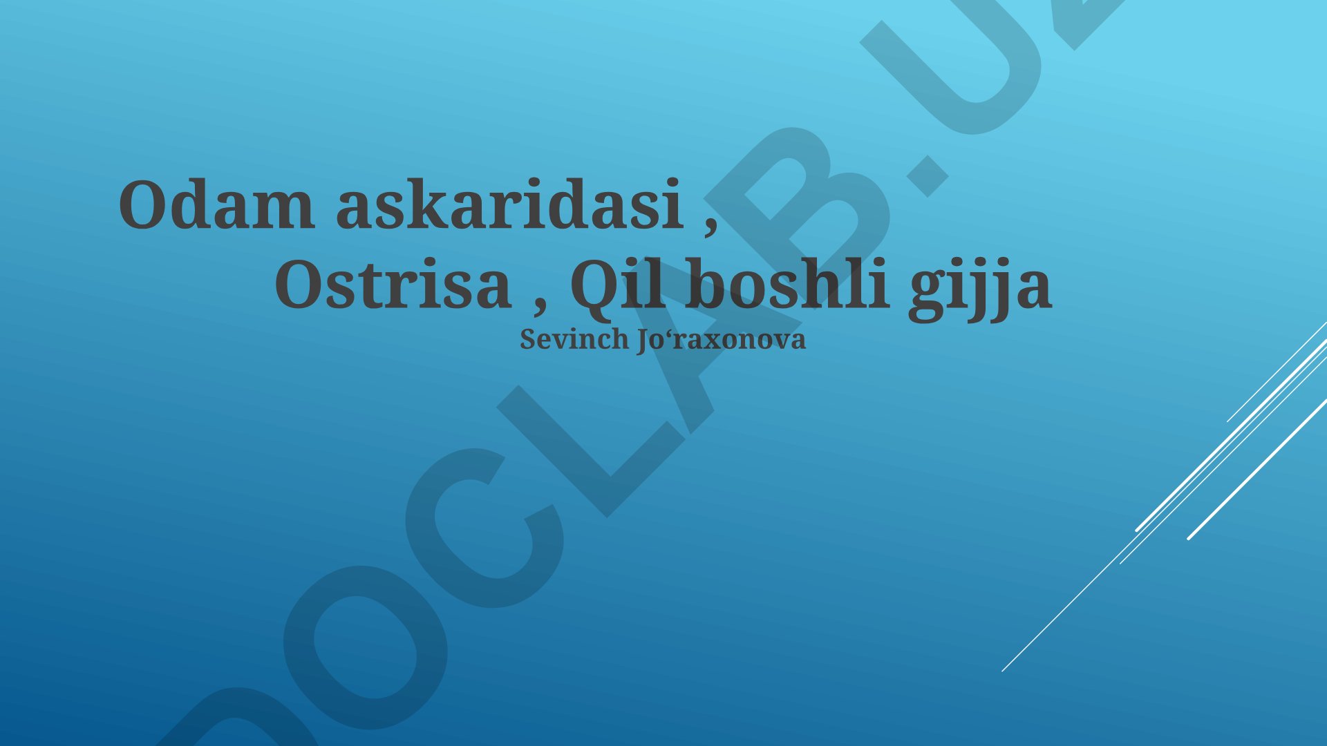 Odam askaridasi, Ostrisa va Qil boshli gijjalar haqida