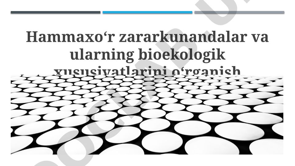 So'ruvchi zararkunandalar va ularning bioekologik xususiyatlari