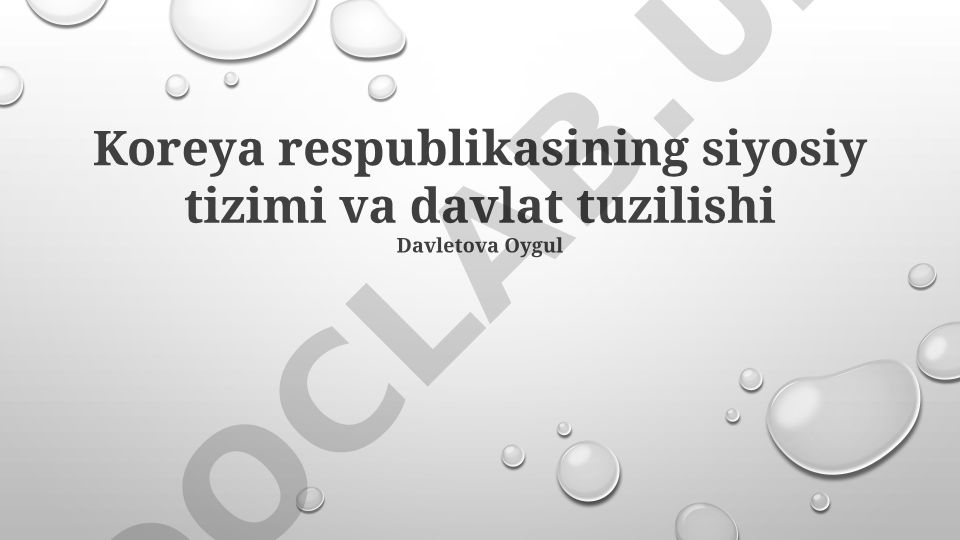 Koreya respublikasining siyosiy tizimi va davlat tuzilishi