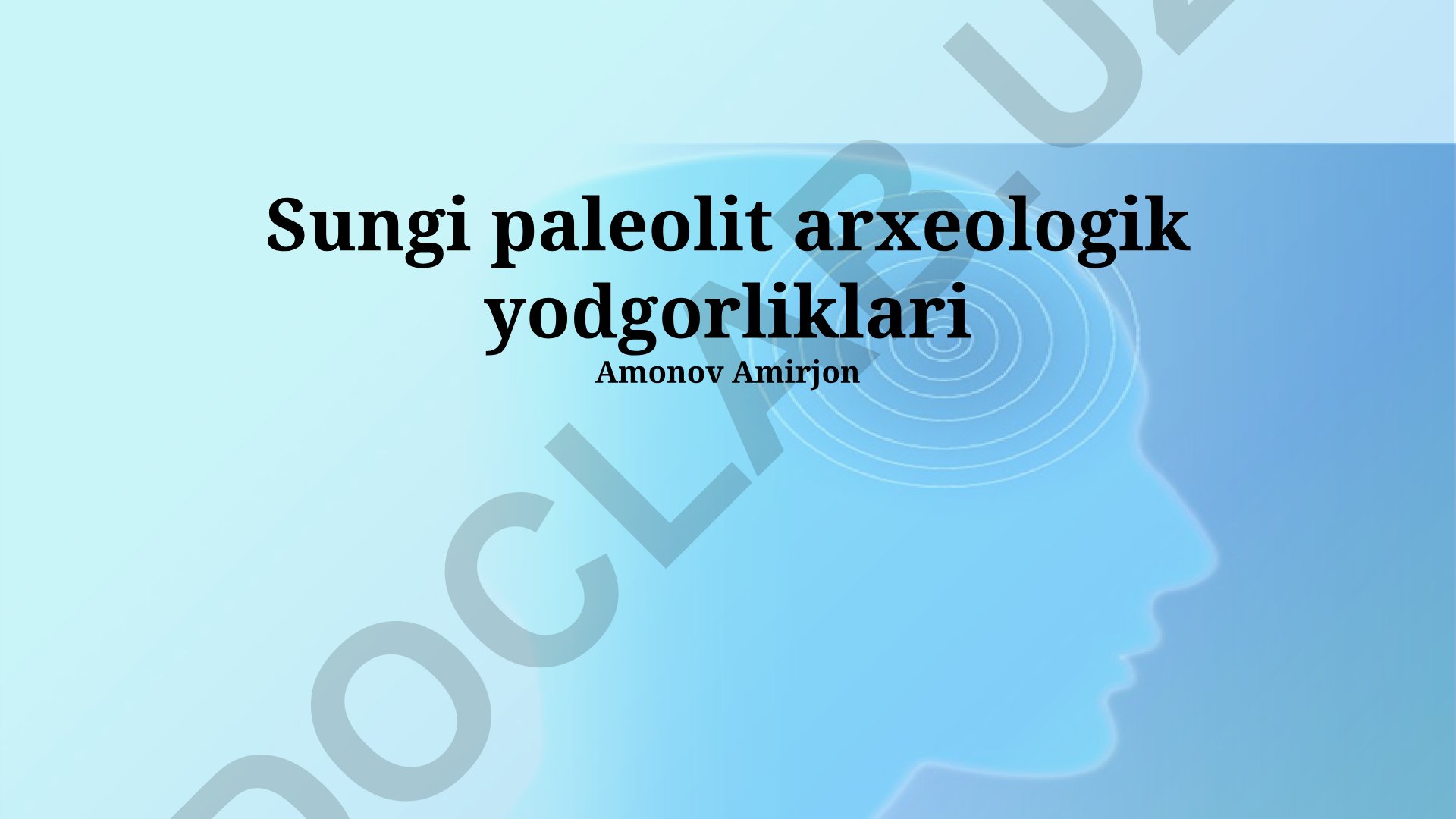 Sungi paleolit arxeologik yodgorliklari