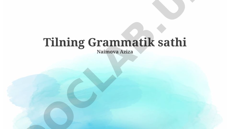 O'zbek tilining grammatik sathi va so'z turkumlari