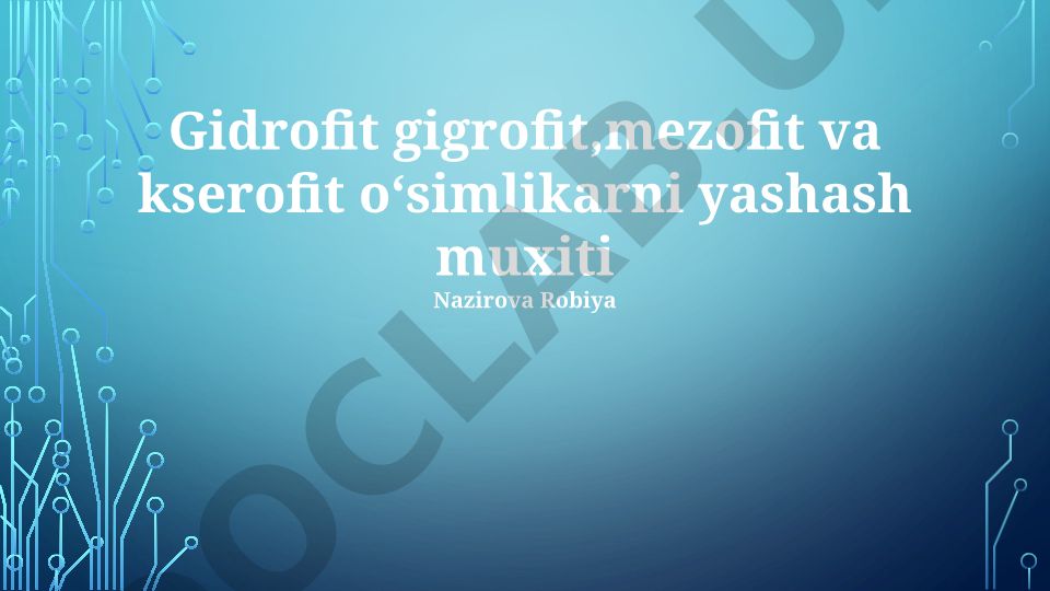 Gidrofit, gigrofit, mezofit va kserofit o'simliklarning yashash muhiti
