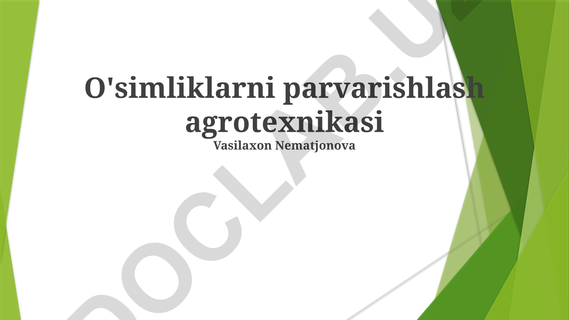 O'simliklarni parvarishlash agrotexnikasi