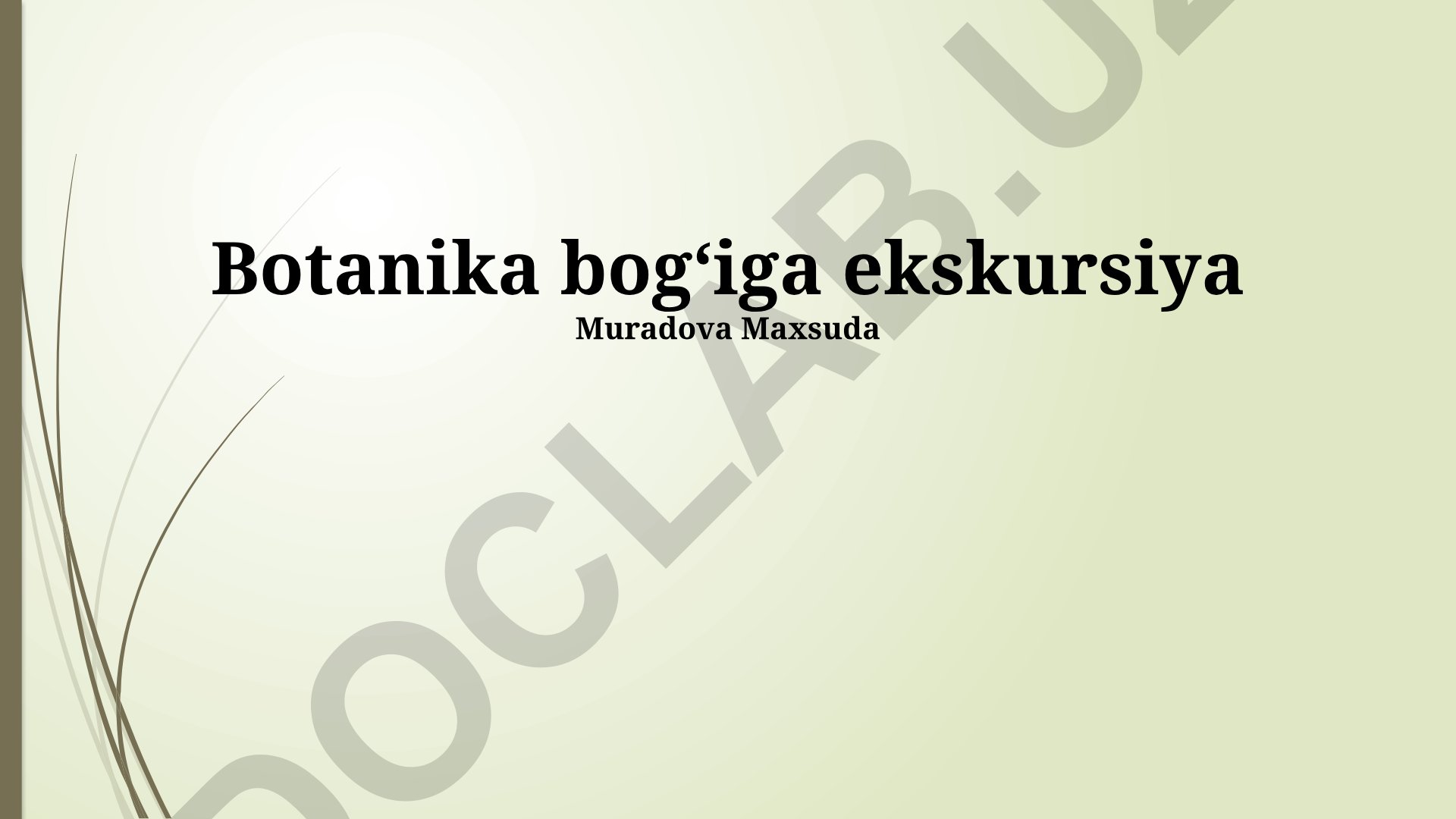Botanika bog'iga ekskursiya va o'simliklar olami
