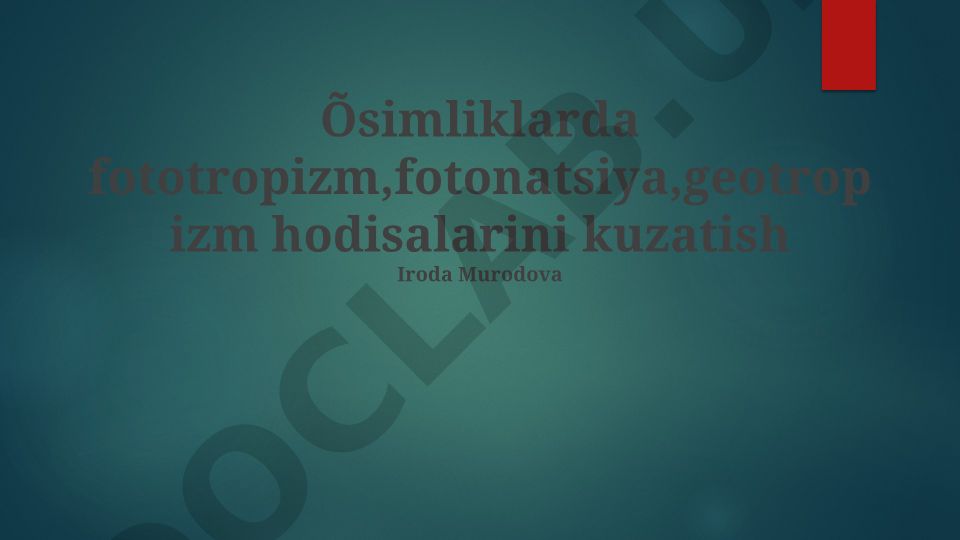 O'simliklarda fototropizm, fotonatsiya va geotropizm hodisalarini kuzatish