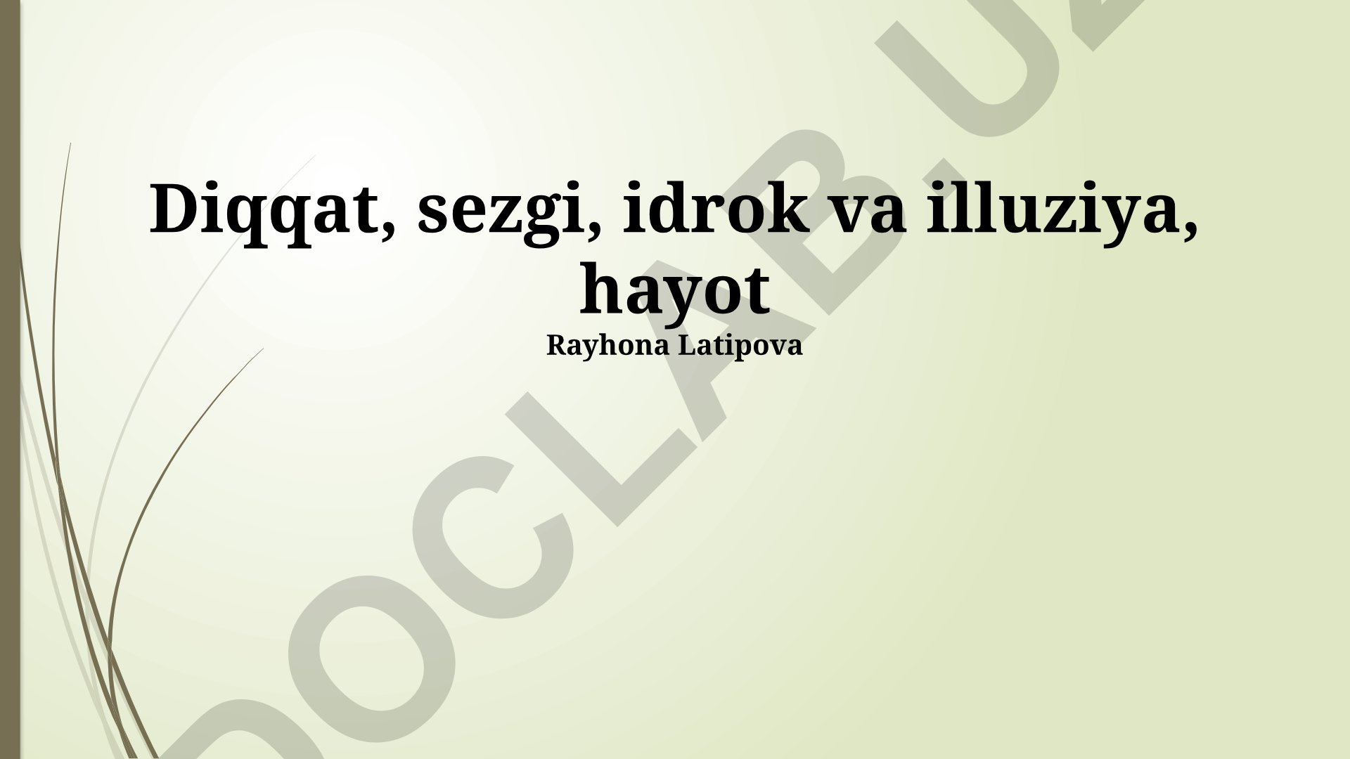 Diqqat, sezgi, idrok va illuziya