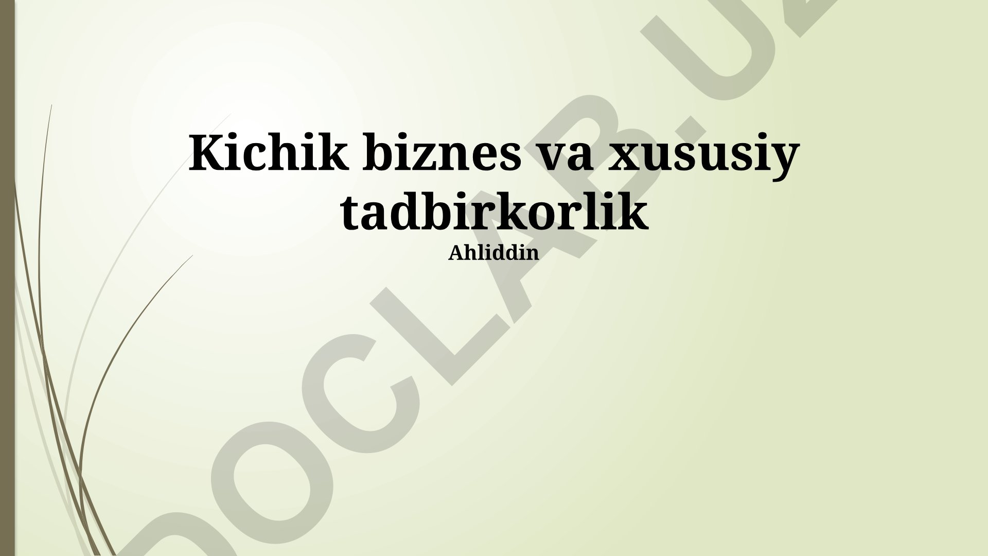 Kichik biznes va xususiy tadbirkorlikni rivojlantirish strategiyalari