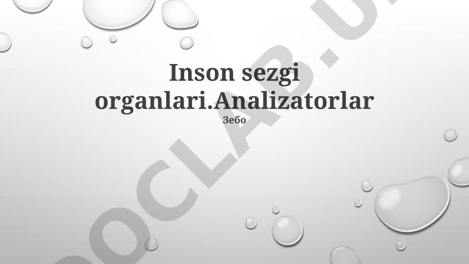 Inson sezgi organlari va analizatorlar