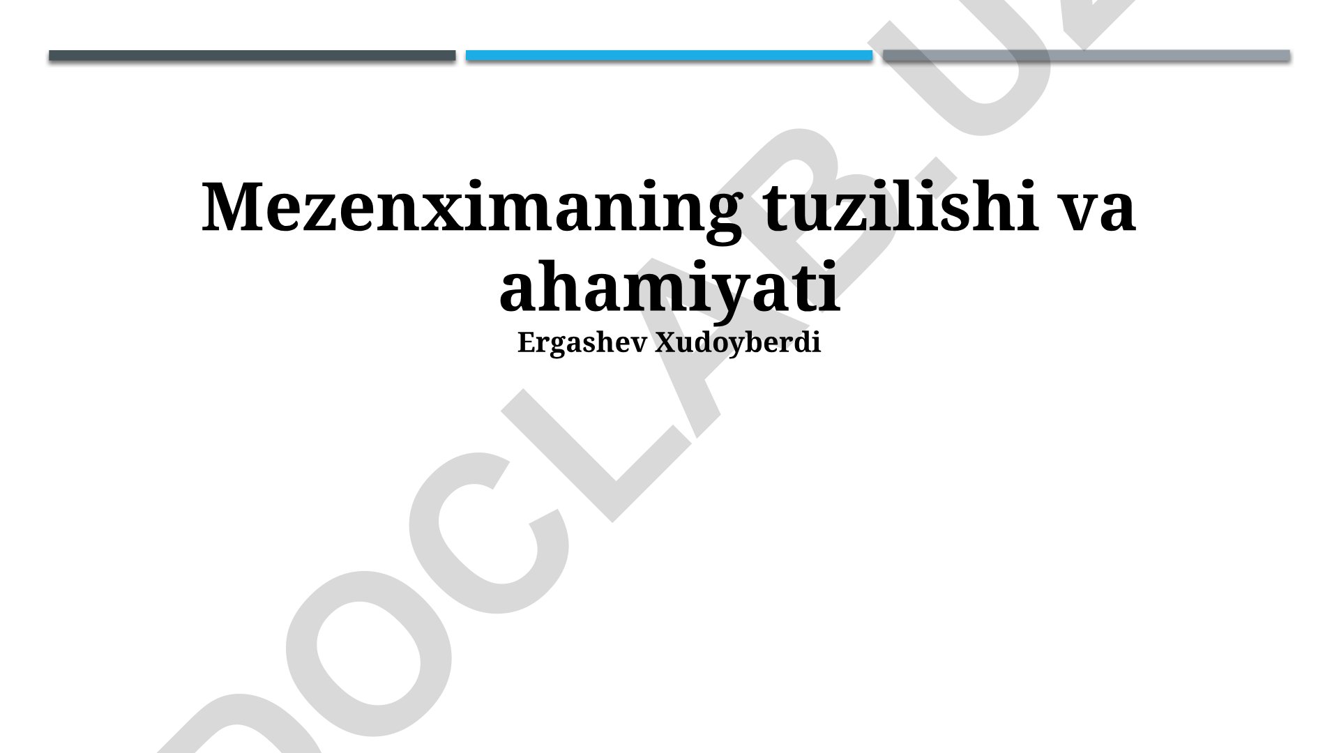 Mezenximaning tuzilishi va ahamiyati