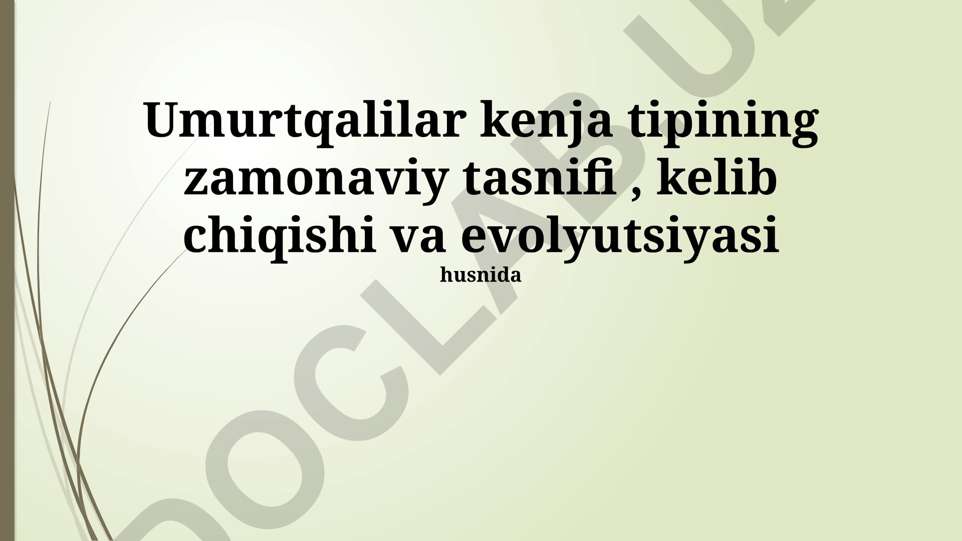 Umurtqalilar kenja tipining zamonaviy tasnifi, kelib chiqishi va evolyutsiyasi