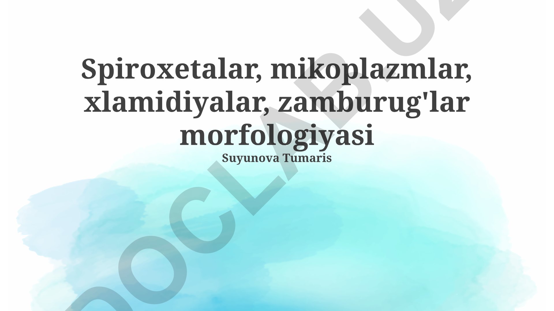 Mikroorganizmlar morfologiyasi: mikoplazmalar, spiroketlar, xlamidiyalar va zamburug'lar