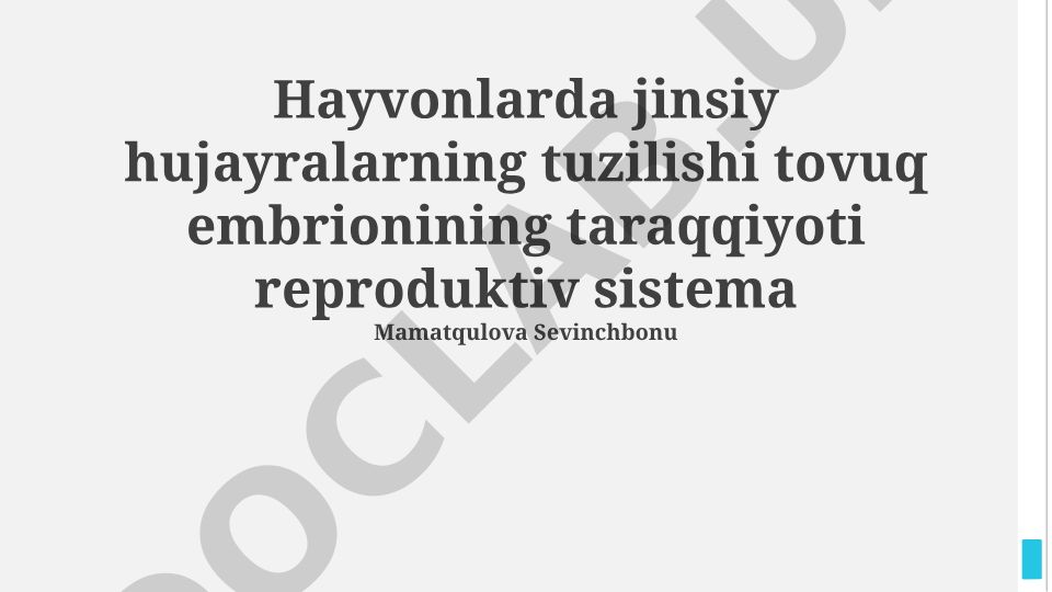 Hayvon jinsiy hujayralari tuzilishi va tovuq embrionining rivojlanishi