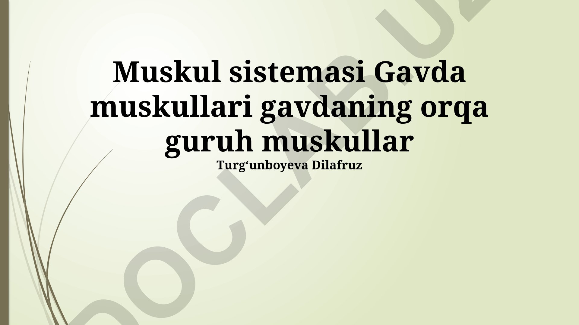 Orqa mushaklarining anatomiyasi va funktsiyalari
