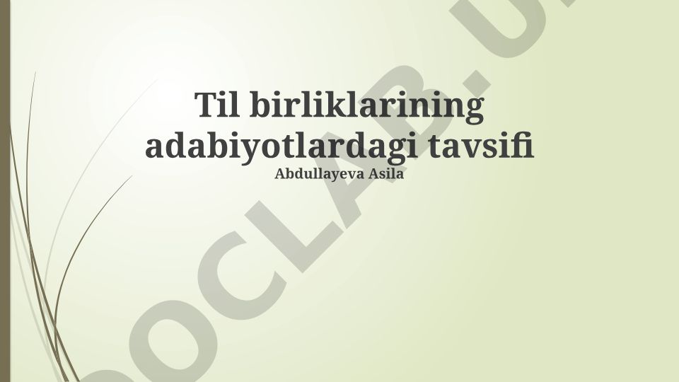 Til birliklarining adabiyotlardagi tavsifi