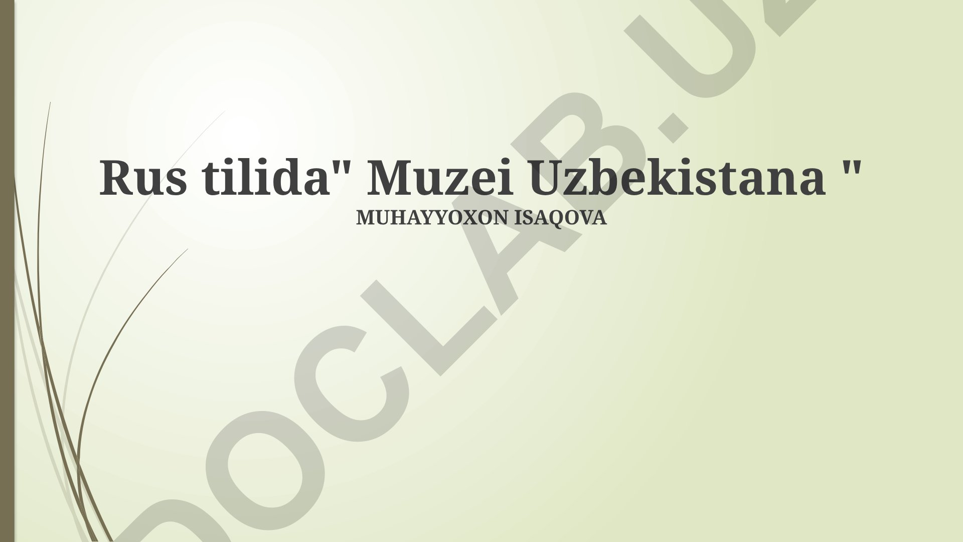 O'zbekiston muzeylari: Xilma-xillik, kollektsiyalar va umumiy nuqtai nazar