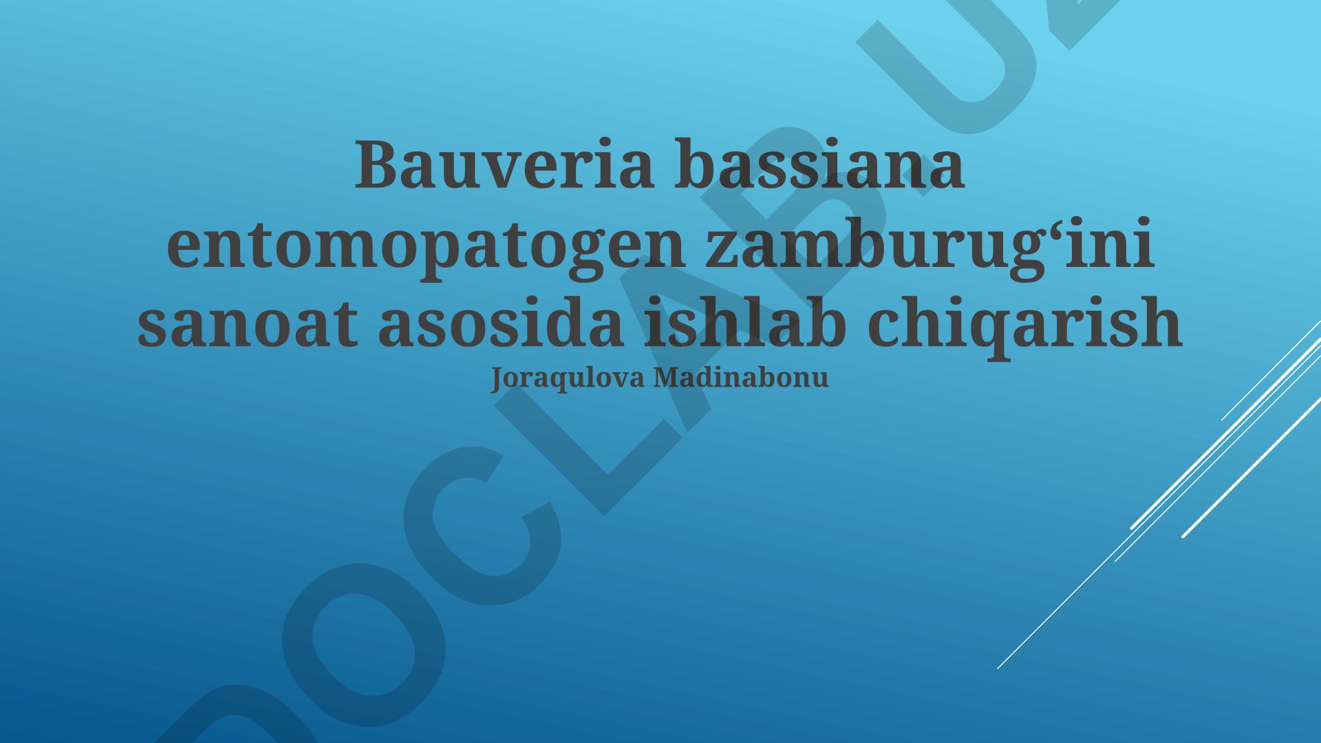 Beauveria bassiana entomopatogen zamburugʻini sanoat asosida ishlab chiqarish