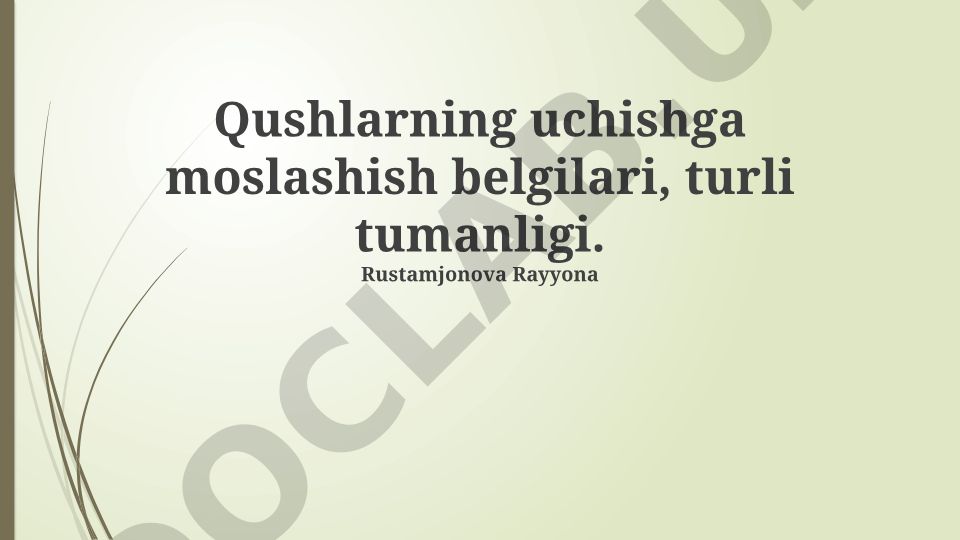 Qushlarning uchishga moslashish belgilari va turlari