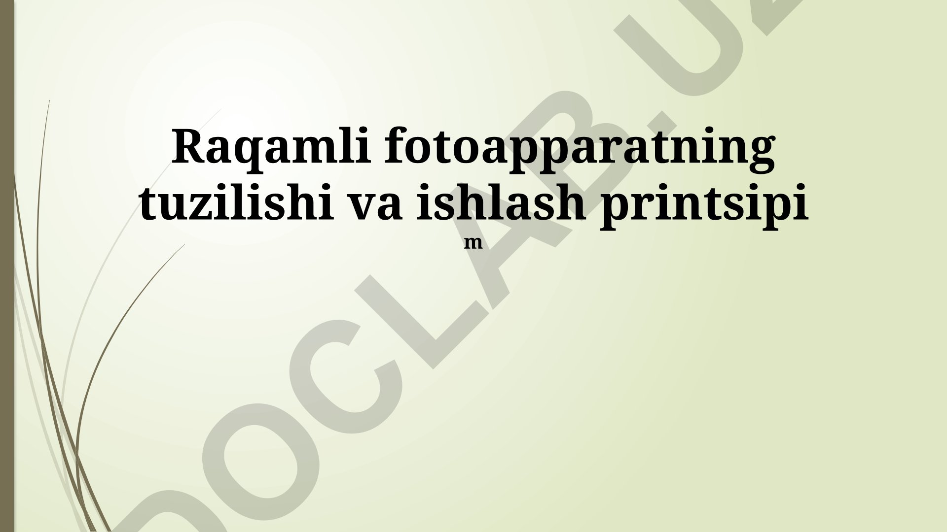 Raqamli fotoapparatning tuzilishi va ishlash printsipi