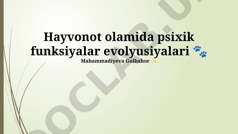 Hayvonot olamida psixik funksiyalar evolyusiyalari