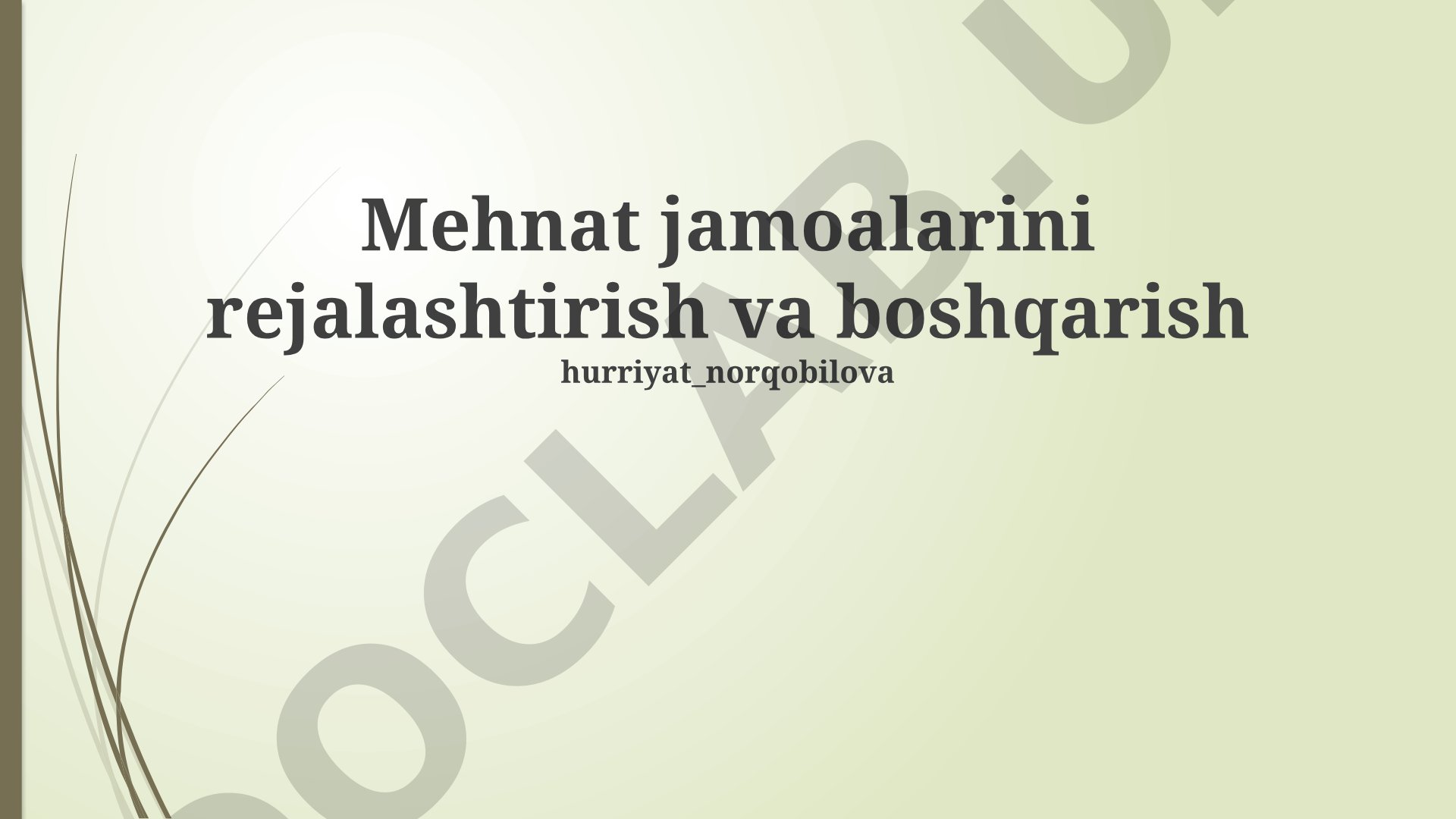 Mehnat jamoalarini rejalashtirish va boshqarish