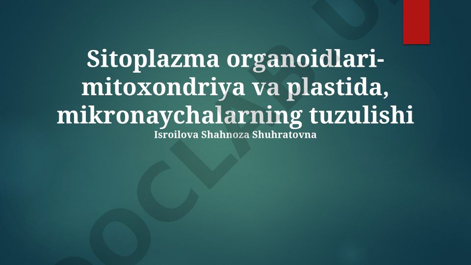 Mitoxondriyalar, plastidalar va mikrotubulalar tuzilishi va vazifalari