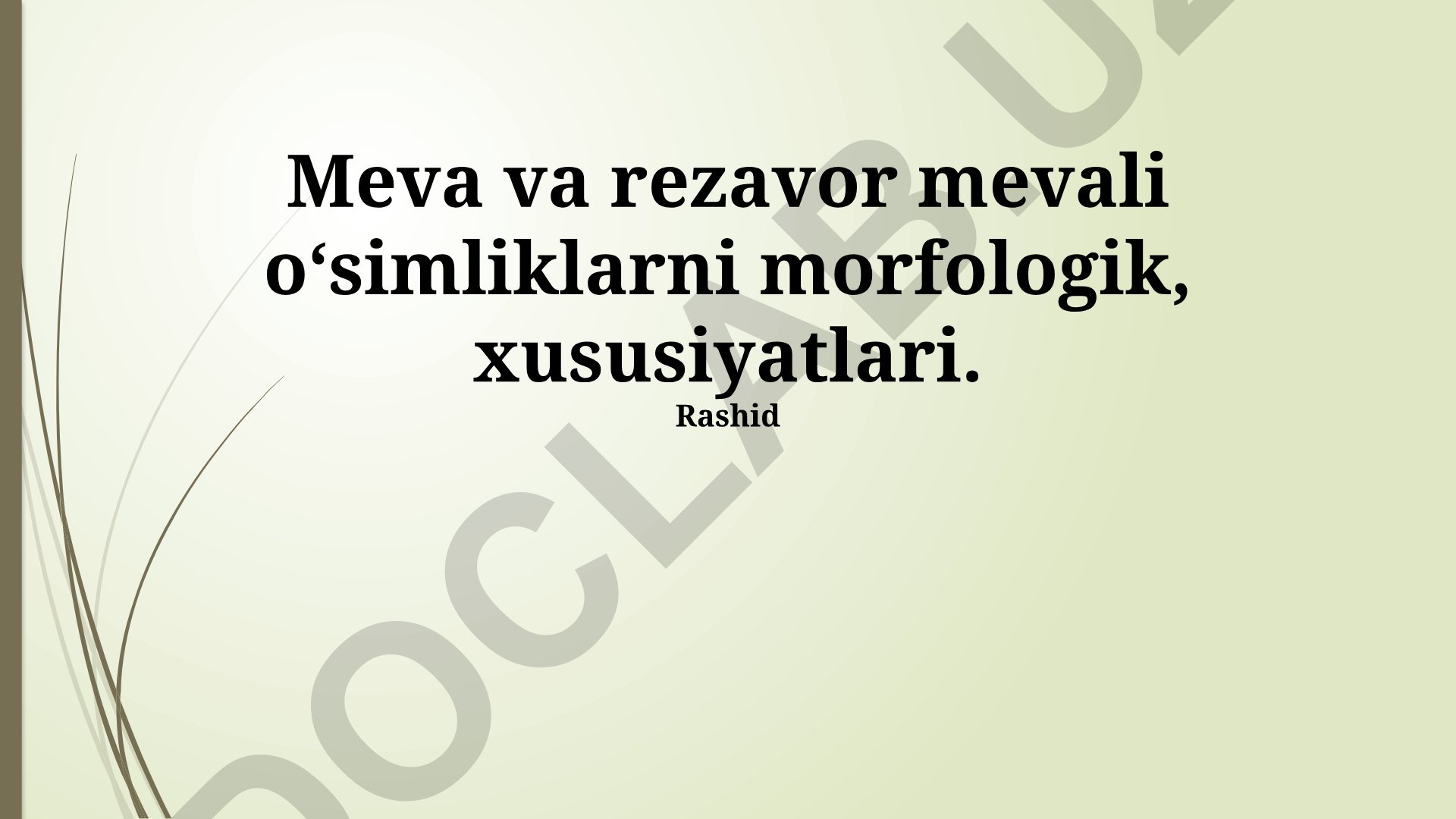 Meva va rezavor mevali oʻsimliklarning morfologik xususiyatlari