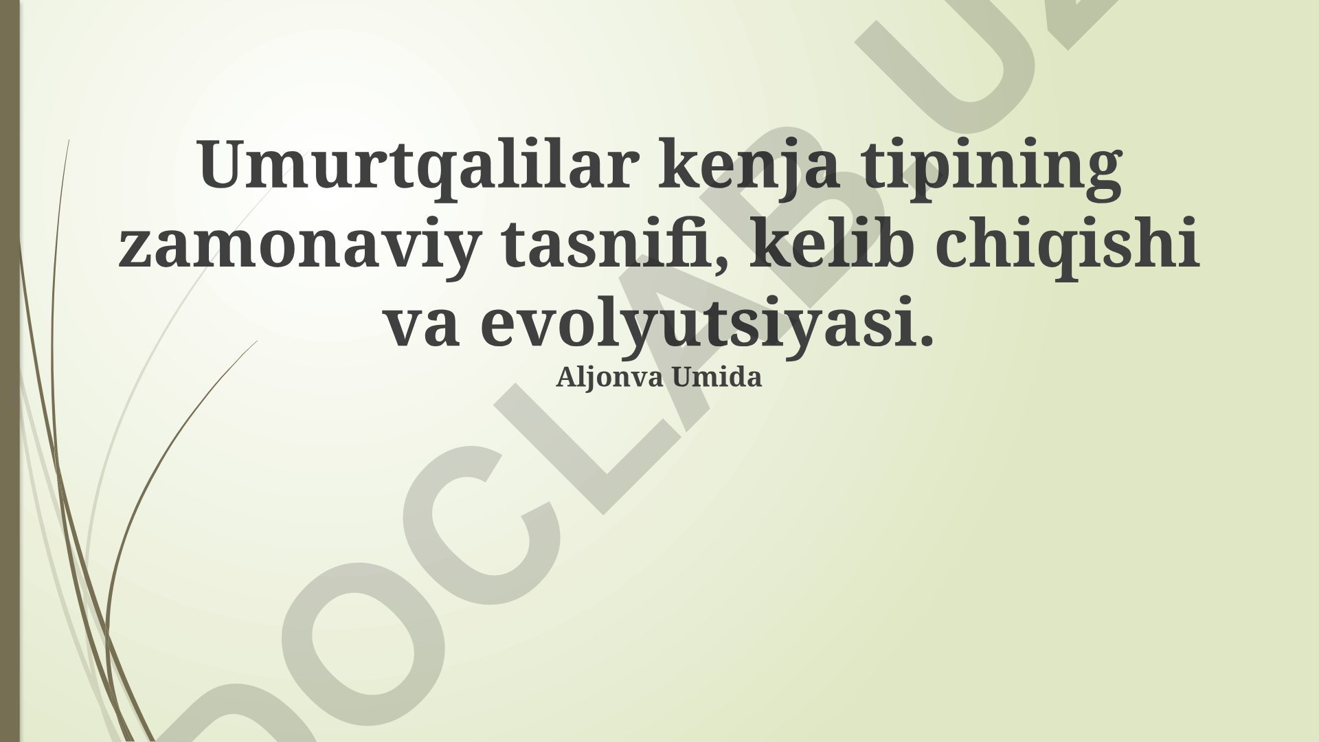 Umurtqalilar kenja tipining zamonaviy tasnifi, kelib chiqishi va evolyutsiyasi