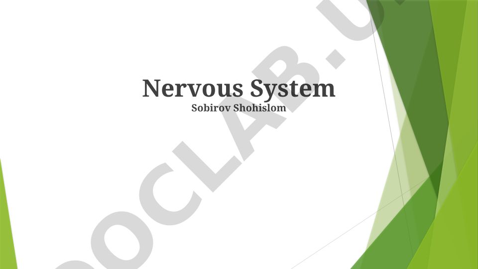 Nervous System: Structure, Functions and Disorders