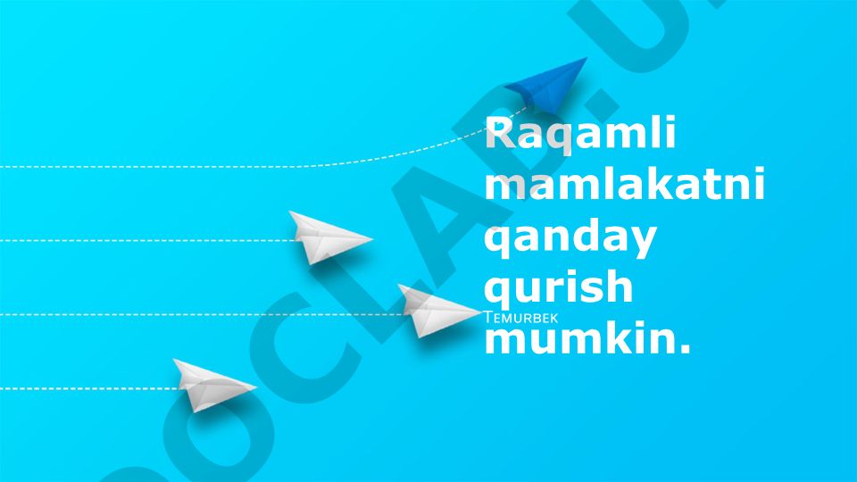 Raqamli mamlakatni qanday qurish mumkin