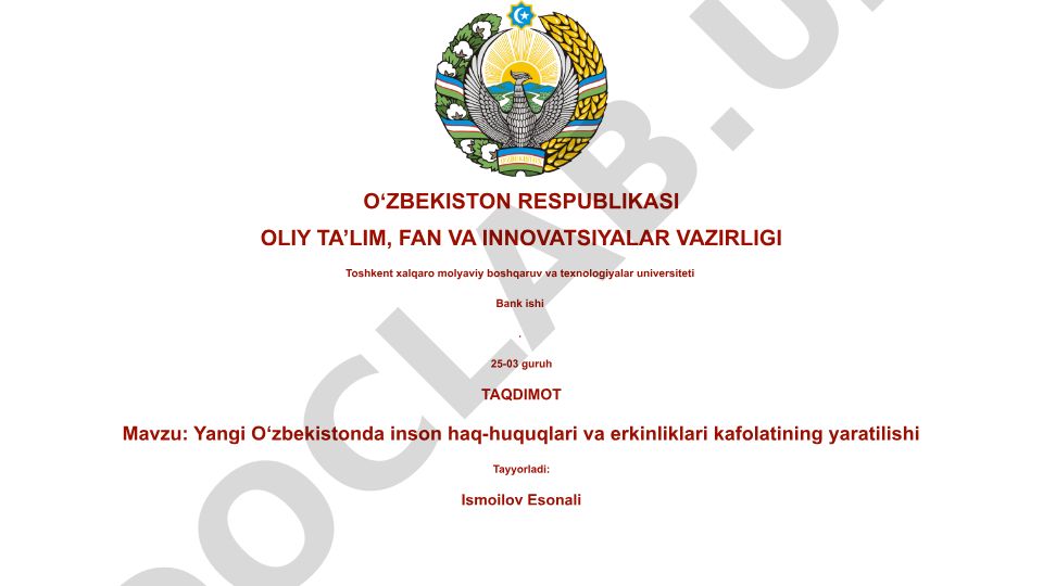 Yangi O‘zbekistonda inson haq-huquqlari va erkinliklari kafolatining yaratilishi