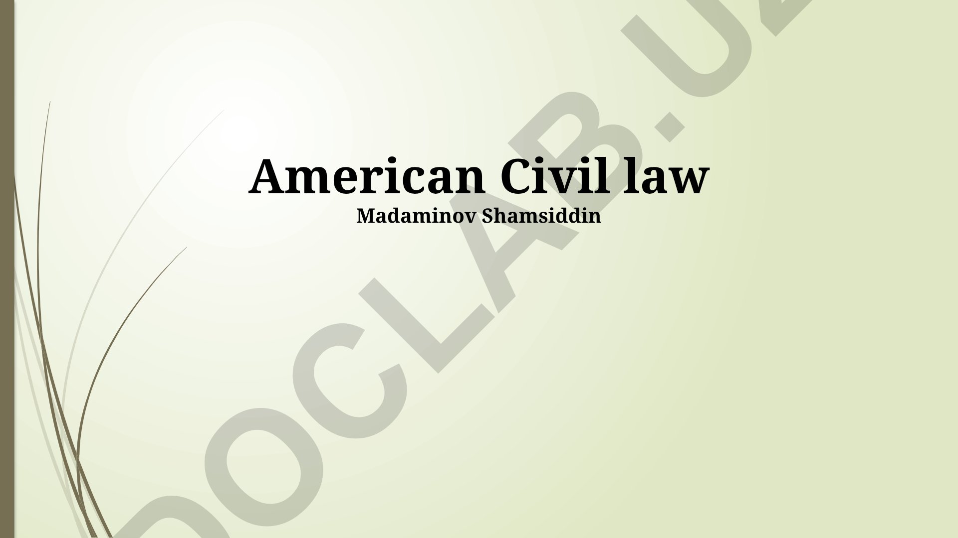 American Civil Law Principles and Applications