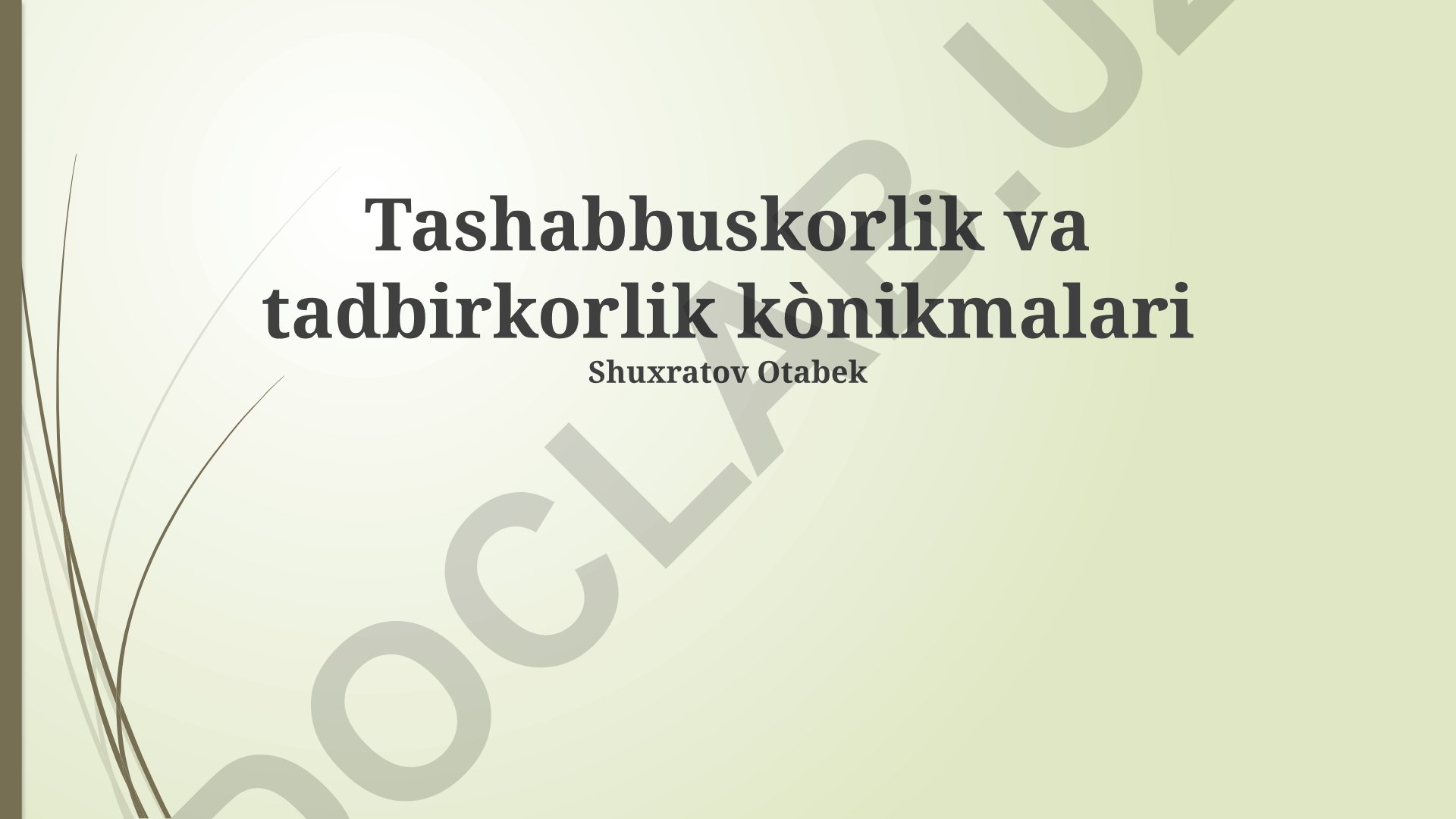 Tashabbuskorlik va tadbirkorlik ko'nikmalari