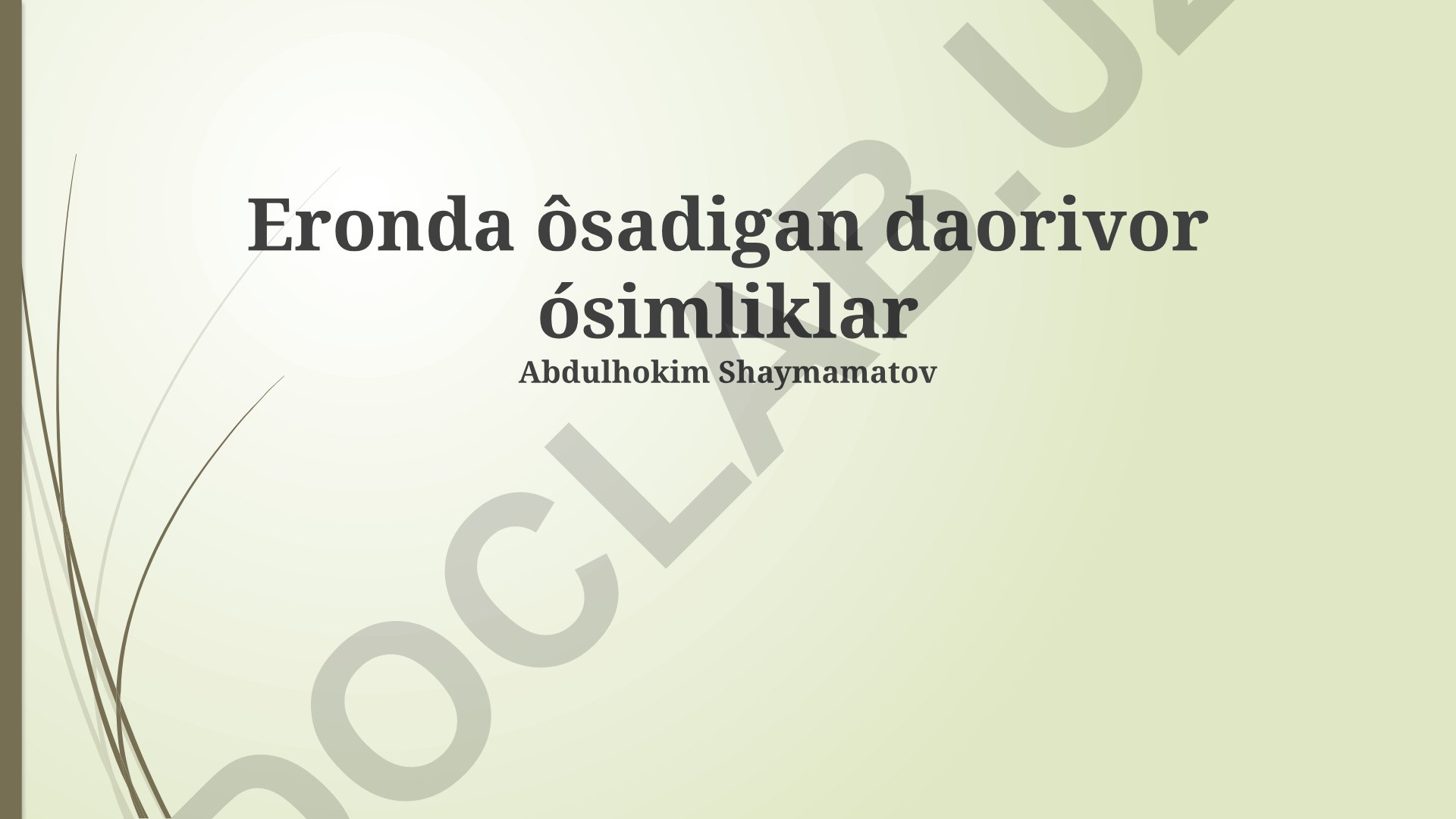 Eronda o'sadigan daorivor o'simliklar