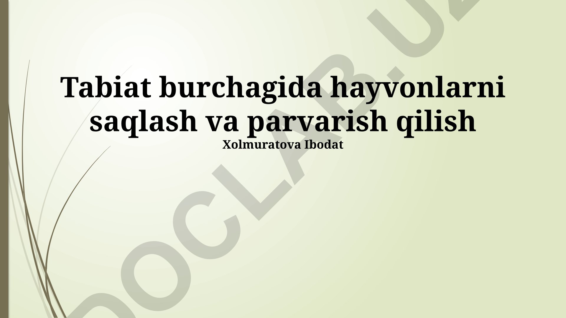 Tabiat burchagida hayvonlarni saqlash va parvarish qilish
