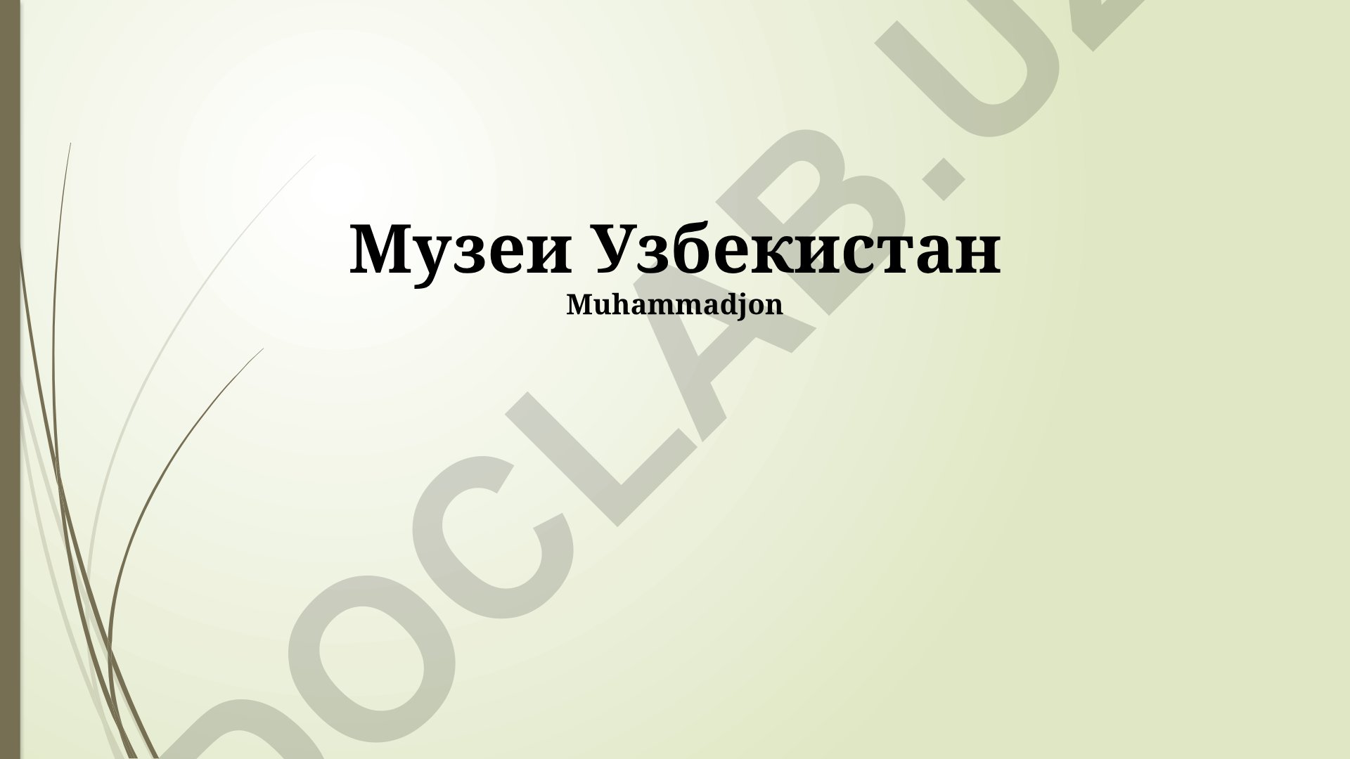Музеи Узбекистана: История, наследие и современные выставочные пространства
