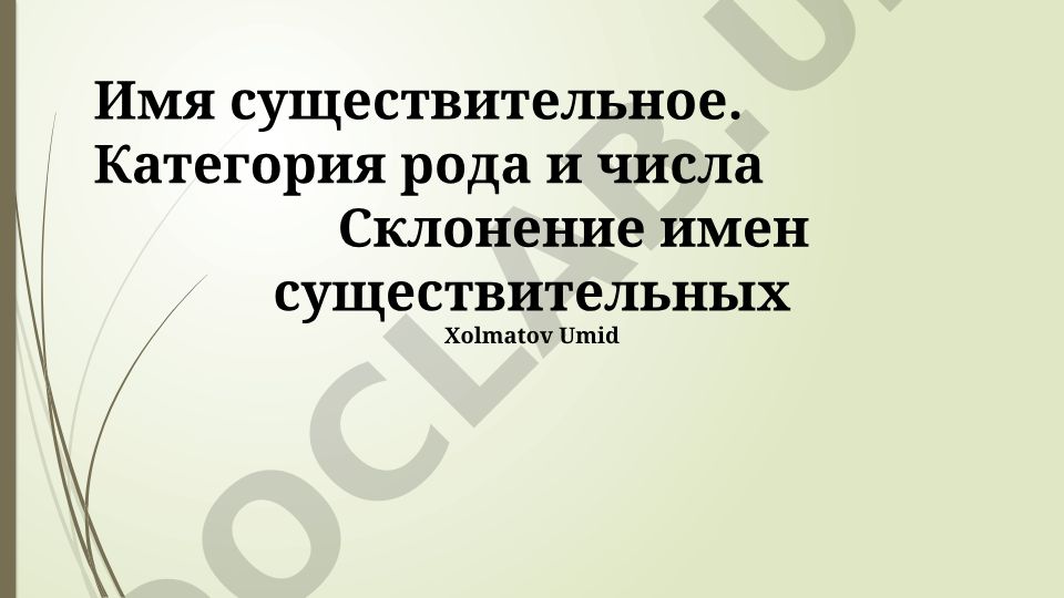 Имя существительное: категория рода, числа и склонение