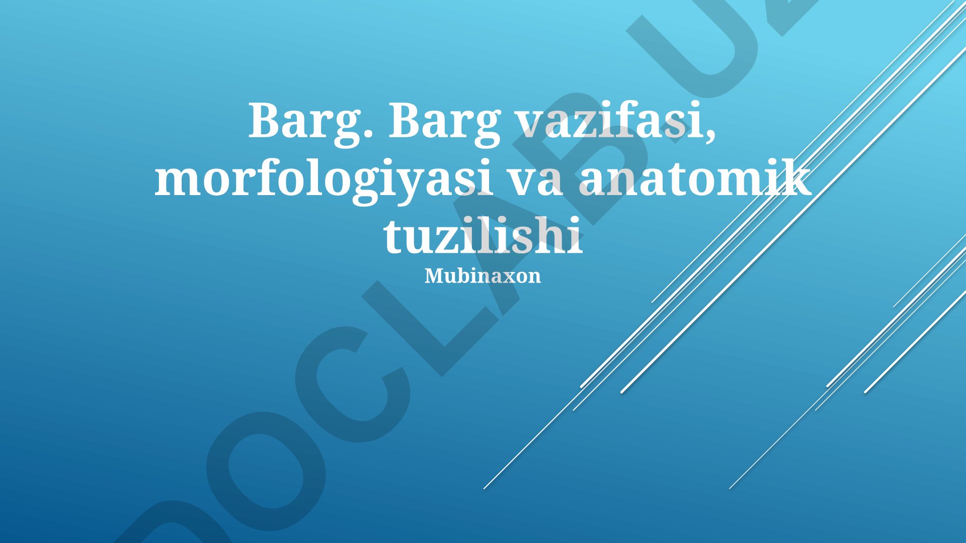 Barg vazifasi, morfologiyasi va anatomik tuzilishi