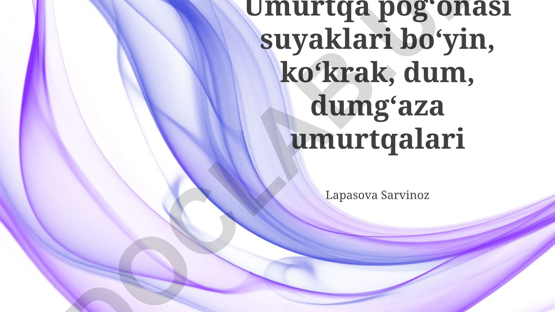 Umurtqa pog'onasi tuzilishi va umurtqalar
