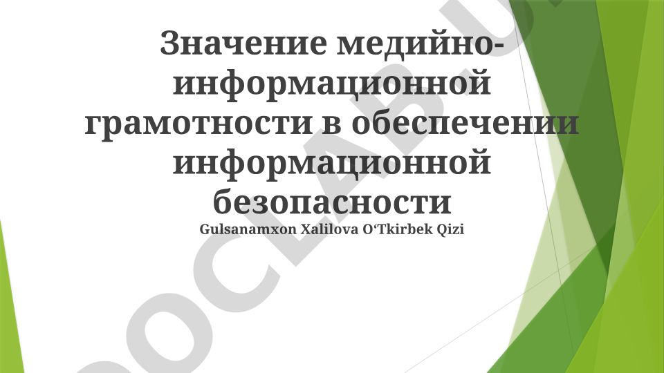 Значение медийно-информационной грамотности в обеспечении информационной безопасности