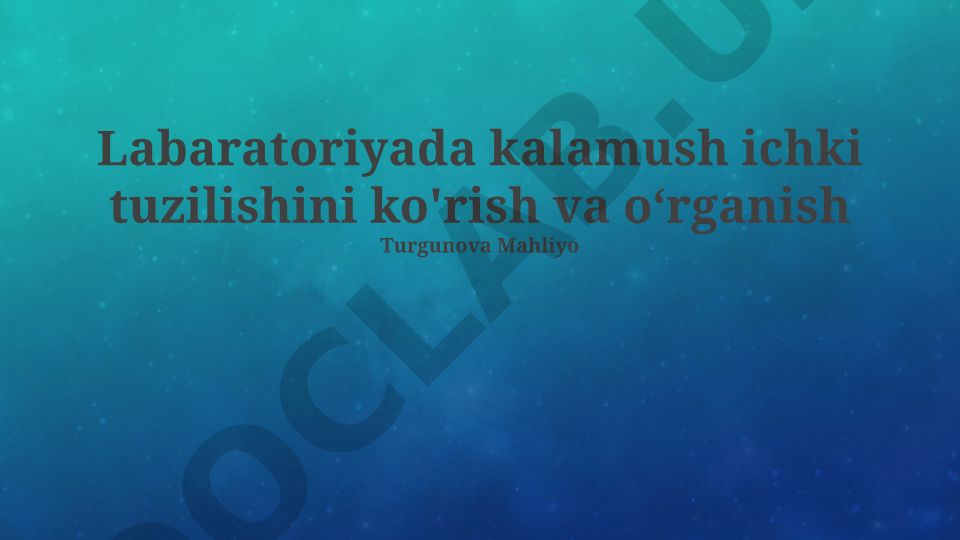 Sichqonchaning ichki tuzilishi va laboratoriya kuzatish usullari