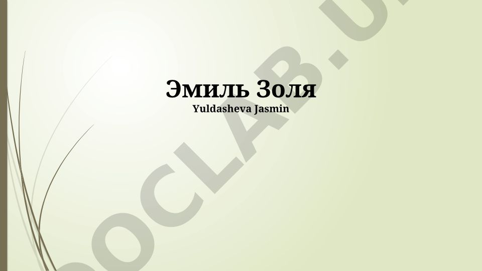 Эмиль Золя: жизнь, творчество и дело Дрейфуса