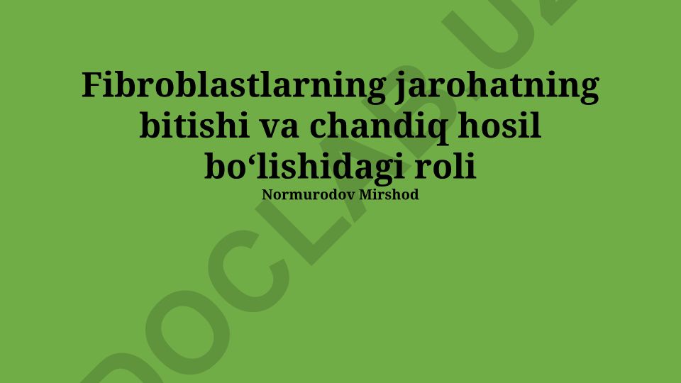 Fibroblastlarning jarohat bitishi va chandiq hosil bo'lishidagi roli
