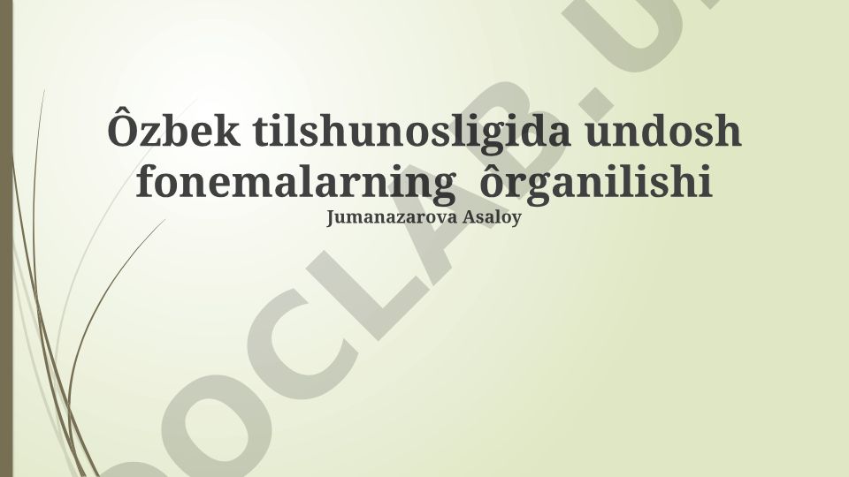 O'zbek tilshunosligida undosh fonemalarning o'rganilishi