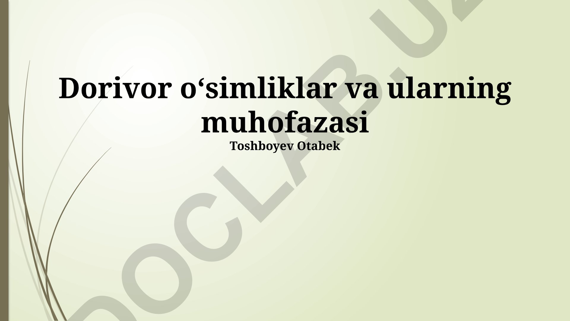 Dorivor oʻsimliklar va ularning muhofazasi