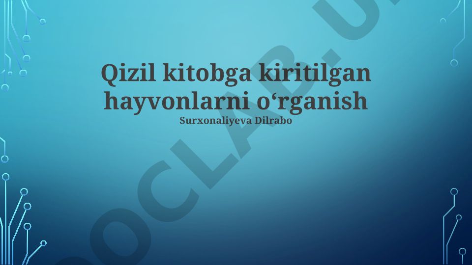 Qizil Kitobga kiritilgan hayvonlarni o‘rganish